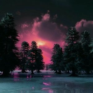 Meet your Posher, Chella